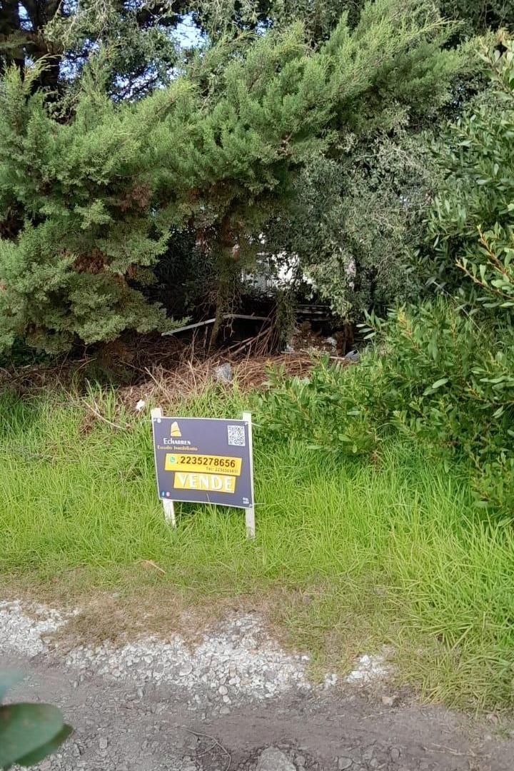 Foto de Terrenos en Venta en Sierra De Los Padres, imagen 4