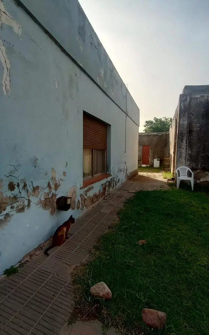 Casa venta - GRAN LOTE - A REFACCIONAR 4