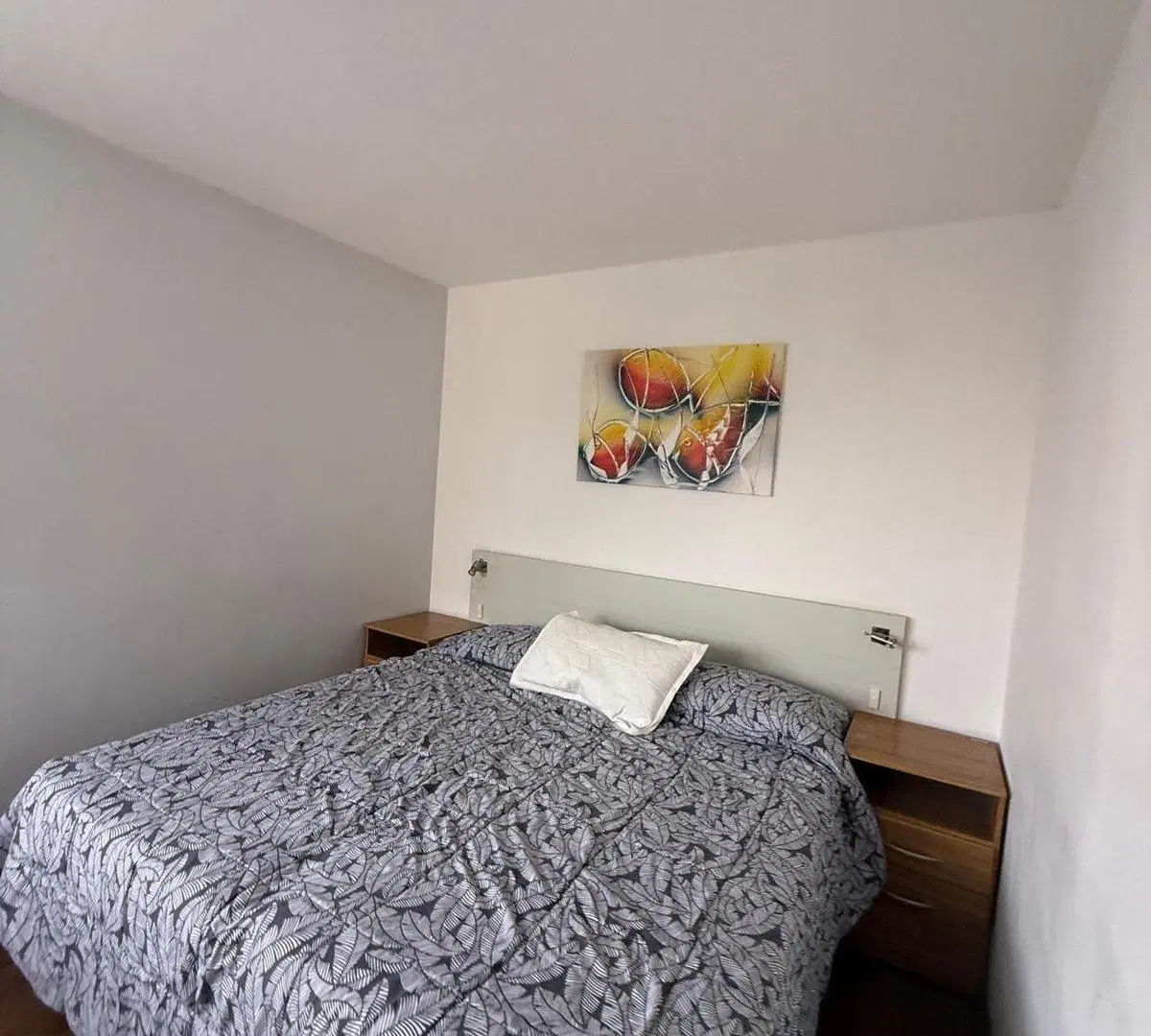 Departamento CENTRICO AMOBLADO 3