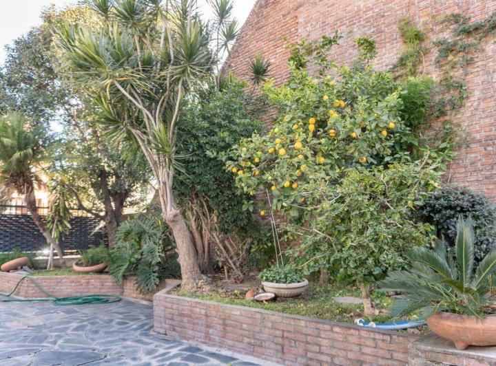 Casa 4 ambientes con enorme jardín en San Martín 4