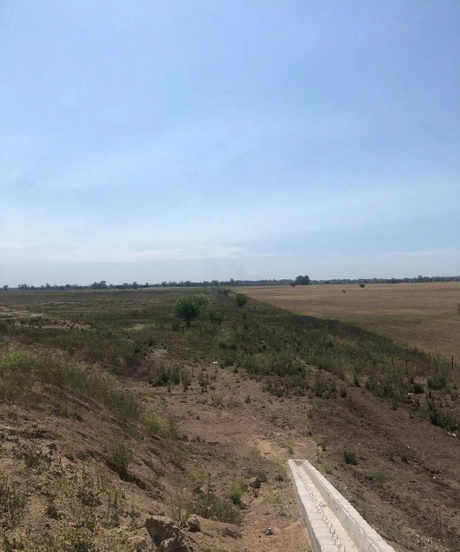 Retasado!Venta Campo 52 Hectareas San Vicente 3