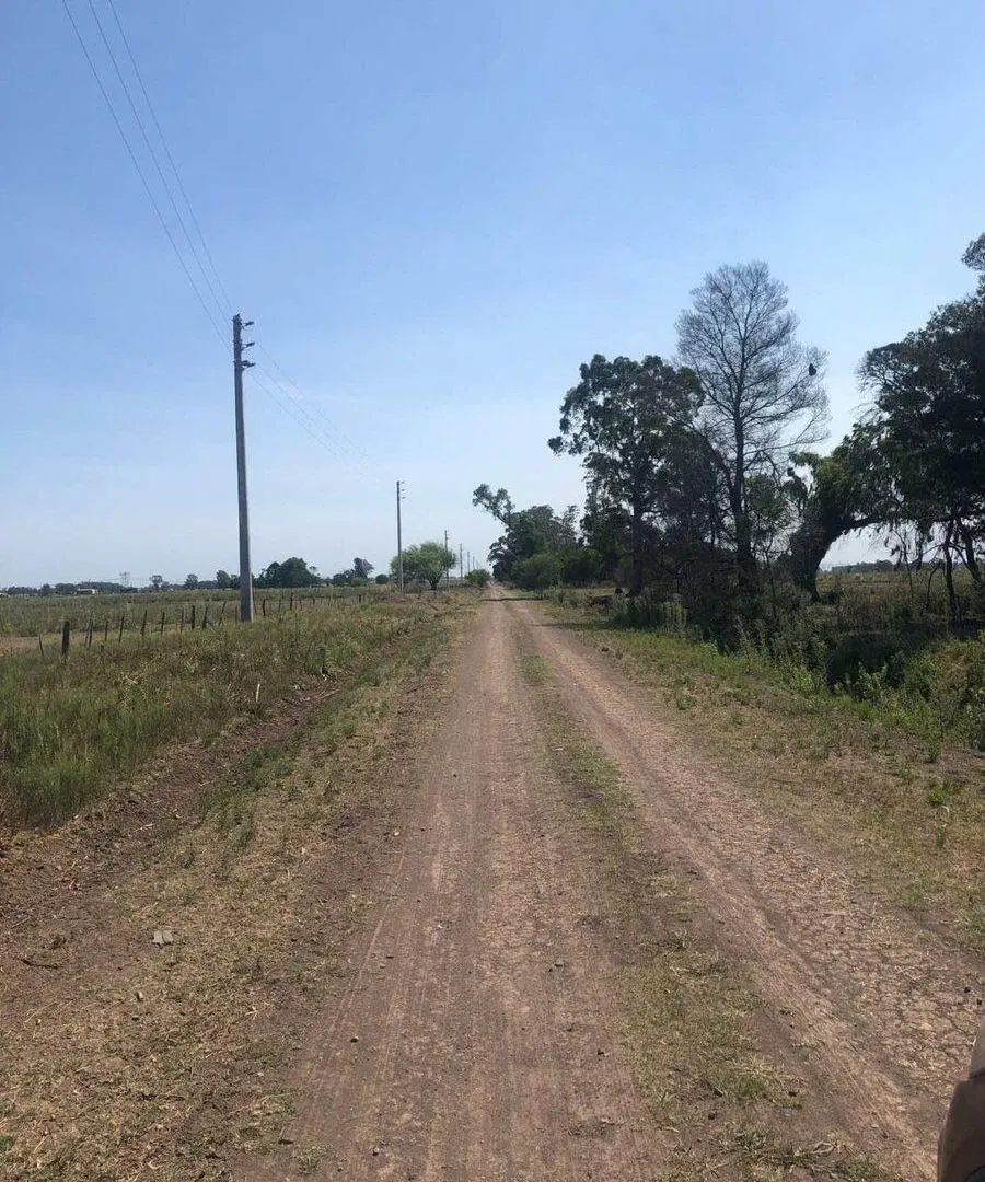 Retasado!Venta Campo 52 Hectareas San Vicente 5