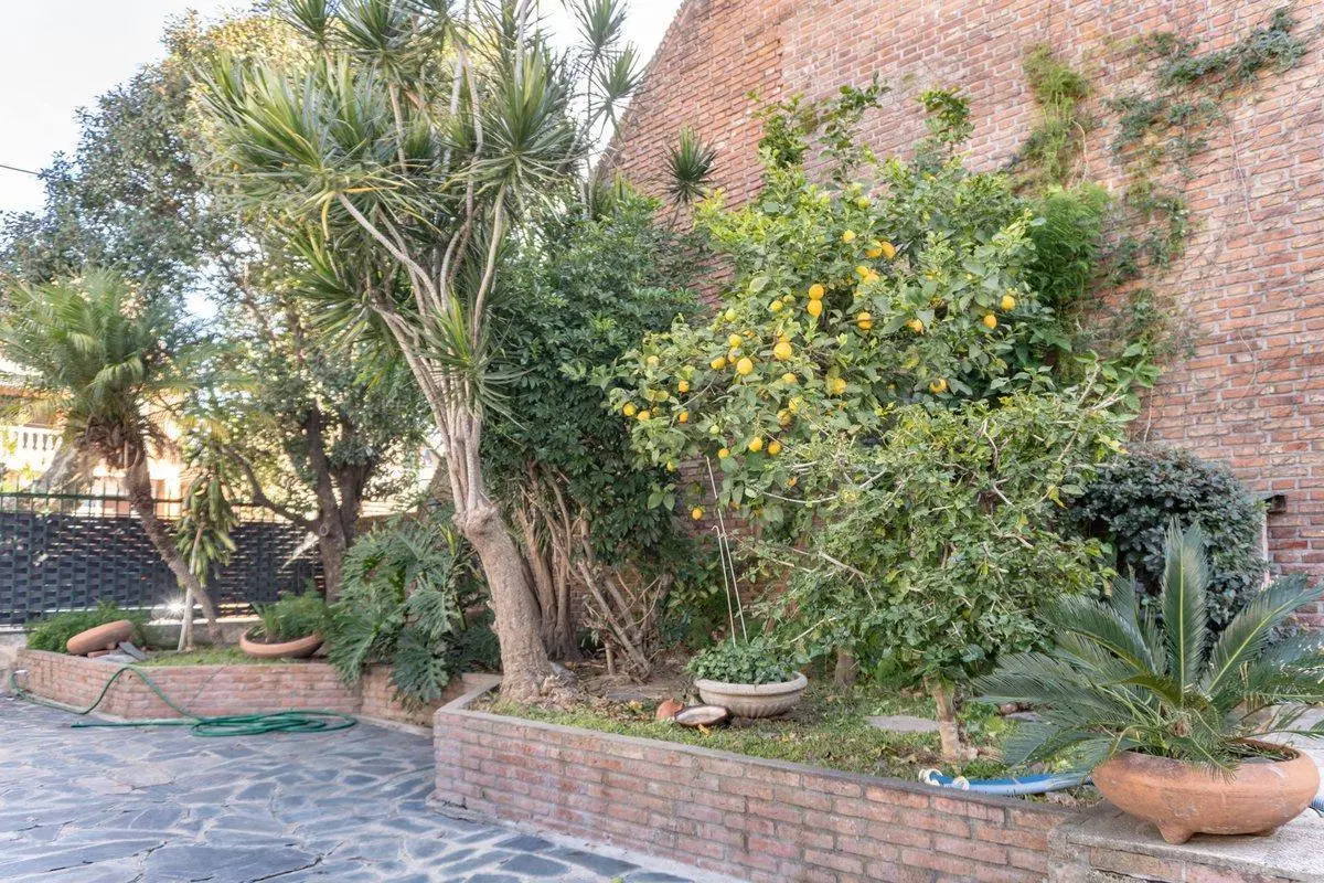 Casa 4 ambientes con enorme jardín en San Martín 2