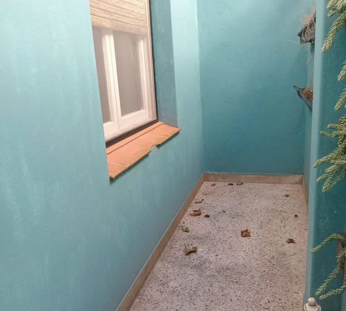 VENTA PH 3 AMB PB AL FONDO C/2 PATIO FLORIDA OESTE 5