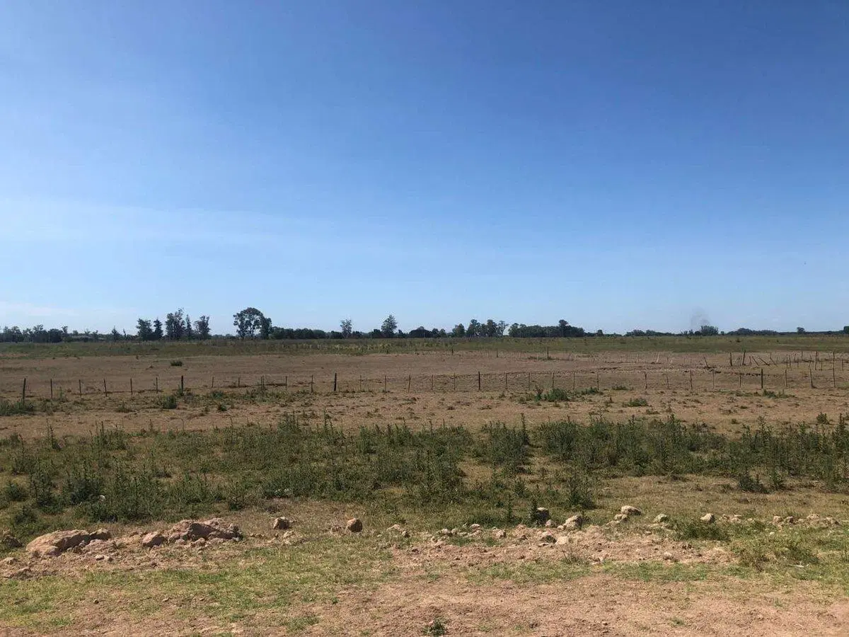 Retasado!Venta Campo 52 Hectareas San Vicente 2