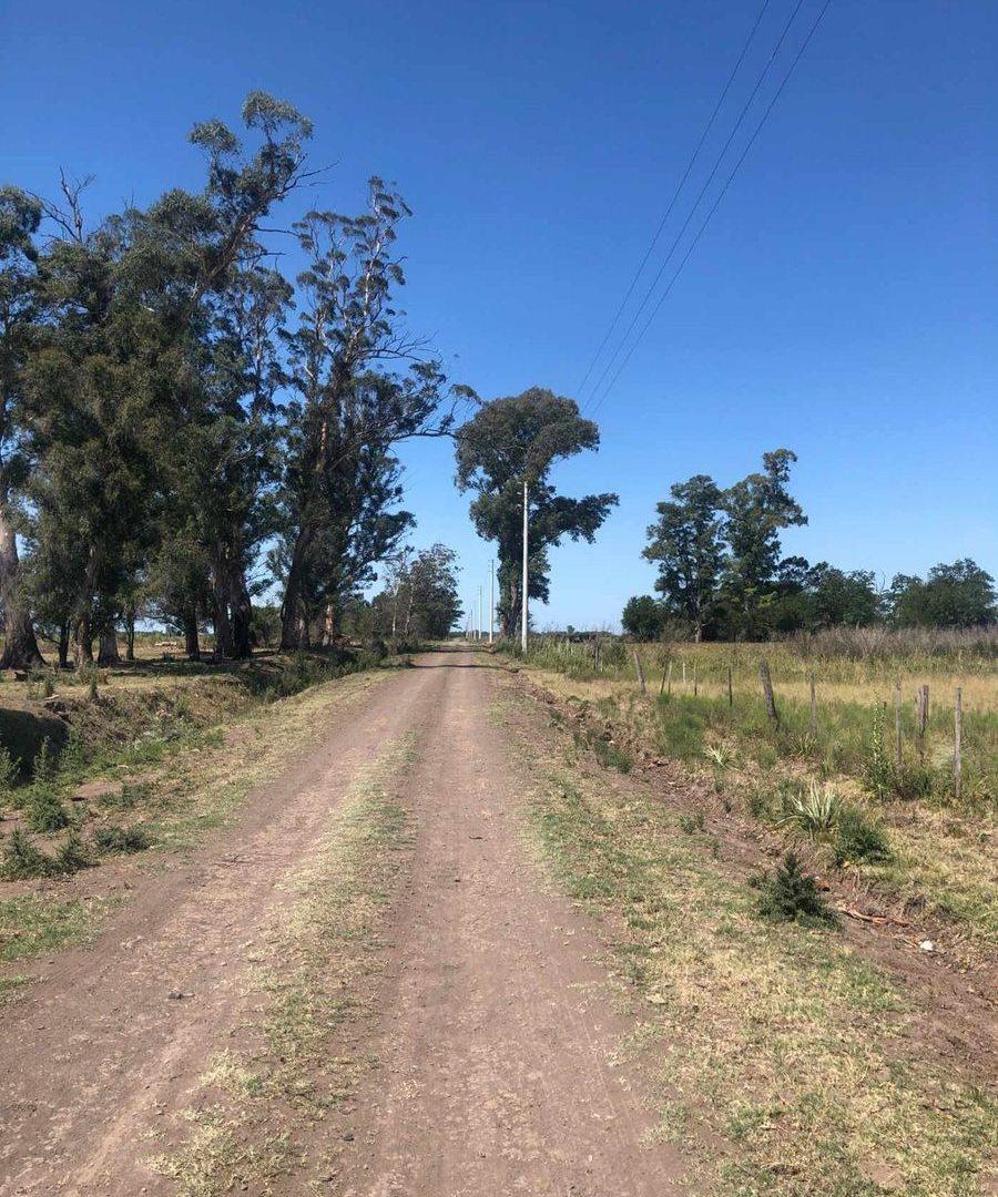 Retasado!Venta Campo 52 Hectareas San Vicente