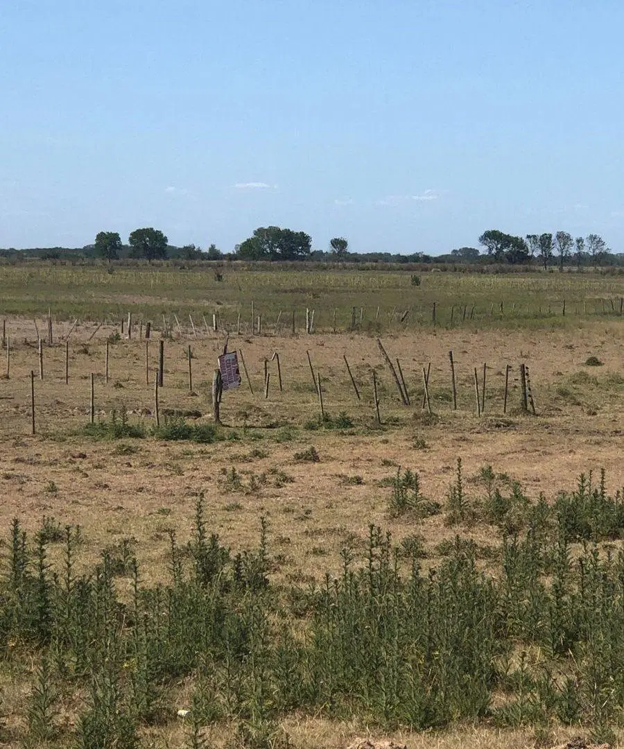Retasado!Venta Campo 52 Hectareas San Vicente 4