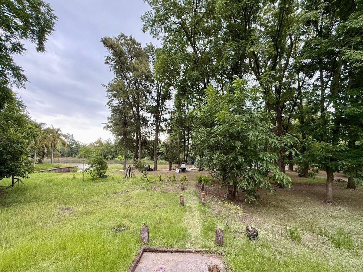 Foto de VENTA Quinta c/casa Delta Tigre - Primera Seccion, imagen 5