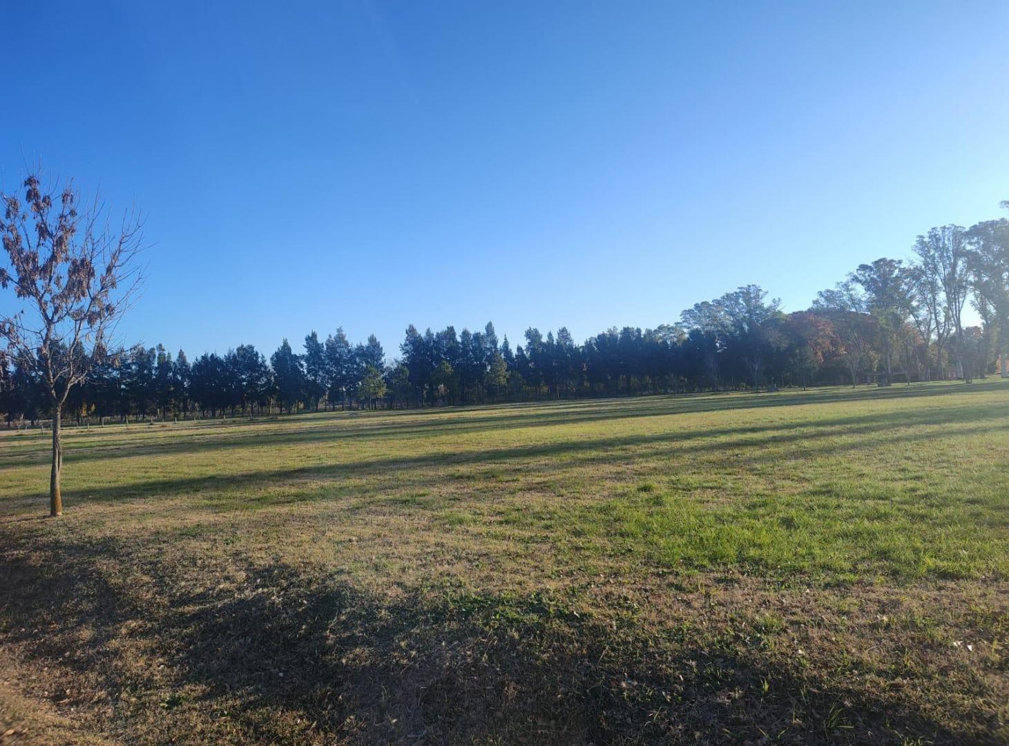 Foto de Terreno en La asuncion, imagen 4