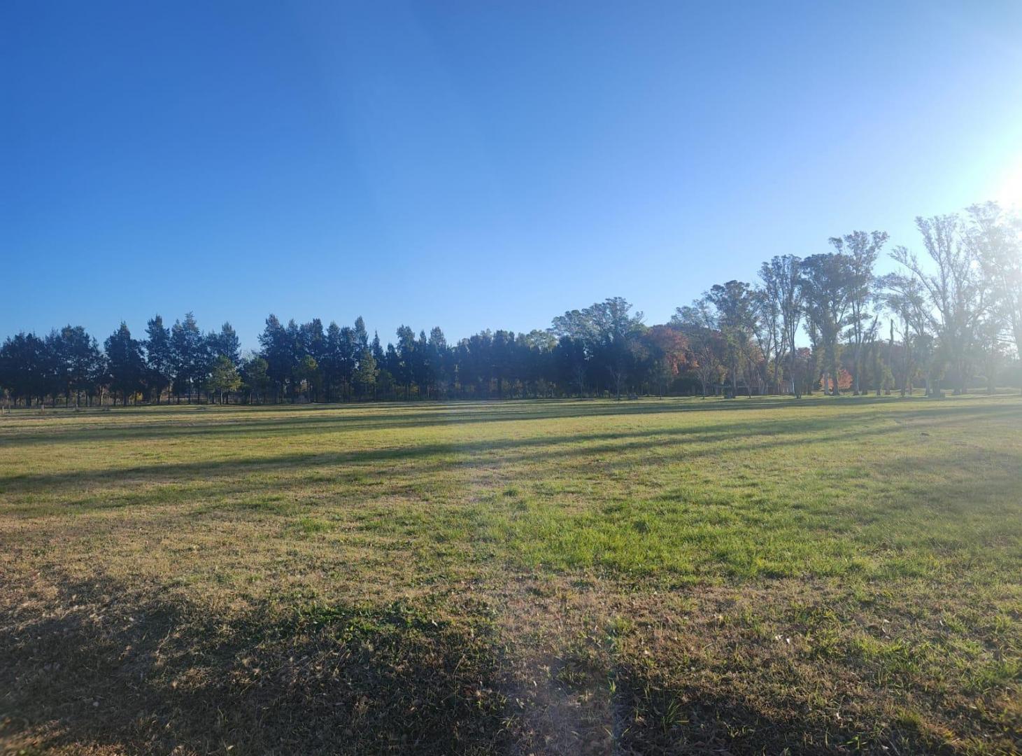Foto de Terreno en La asuncion, imagen 3