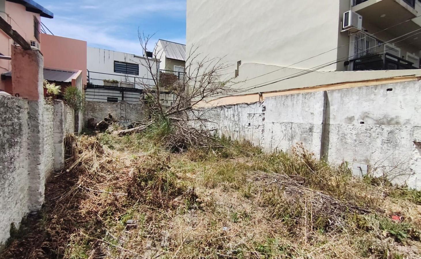 Foto de Terreno en Florida, imagen 3
