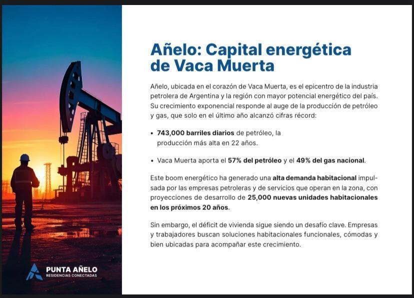 Vaca Muerta - 25% Anual en Dolares Añelo Te Espera 3