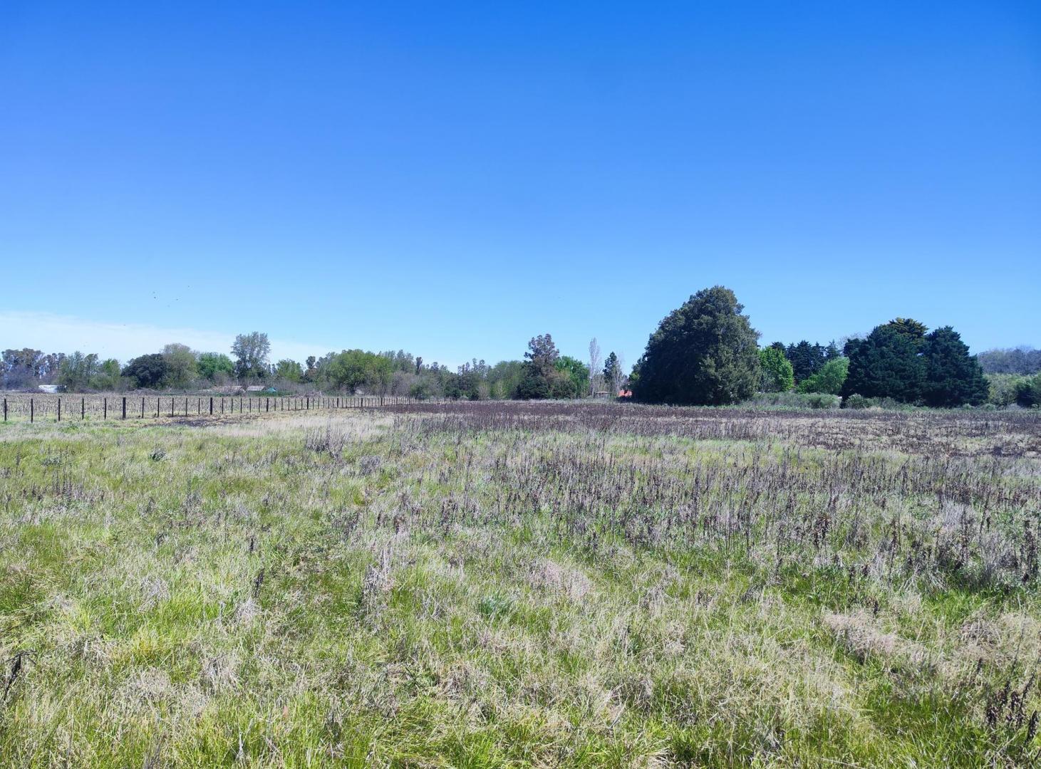 Foto de Lote Unico de 1 Ha en Carlos Keen Lujan, imagen 1