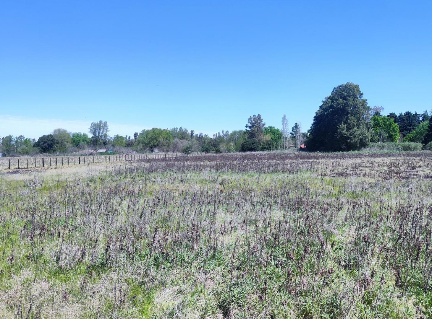 Foto de Lote Unico de 1 Ha en Carlos Keen Lujan, imagen 5