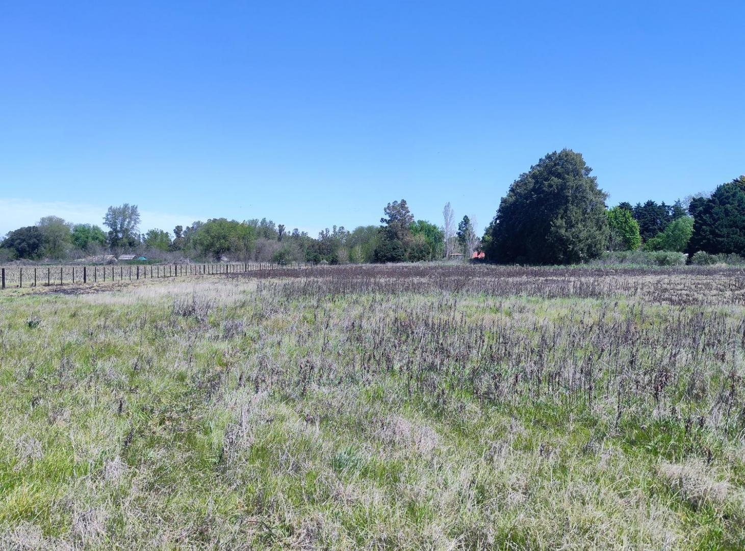 Foto de Lote Unico de 1 Ha en Carlos Keen Lujan, imagen 1