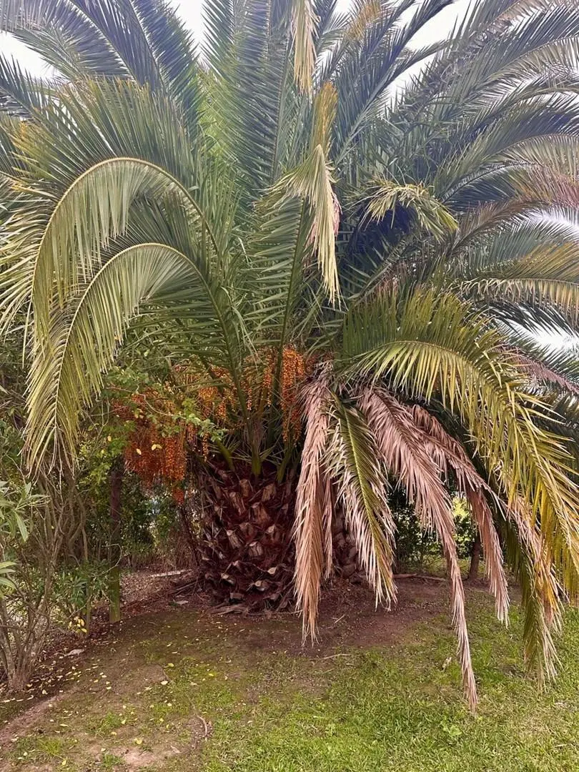 Casa en Alquiler en San Isidro Labrador, Villanueva, Tigre 4