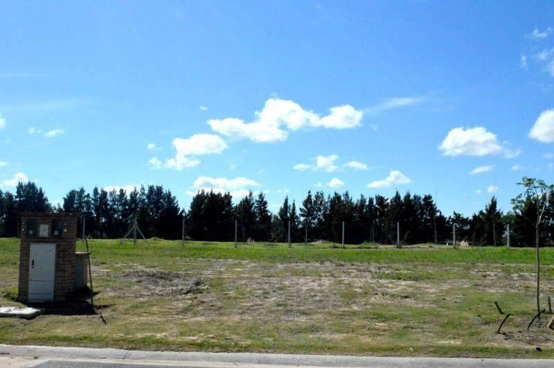 Foto de Terreno Lote en Venta ubicado en Castaños, Nordelta, G.B.A. Zona Norte, imagen 5