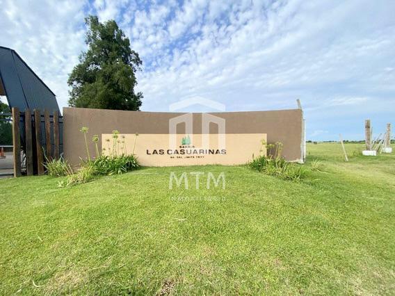 Foto de Terreno en venta, Ibarlucea, Las Casuarinas., imagen 4