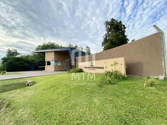 Foto de Terreno en venta, Ibarlucea, Las Casuarinas., imagen 5