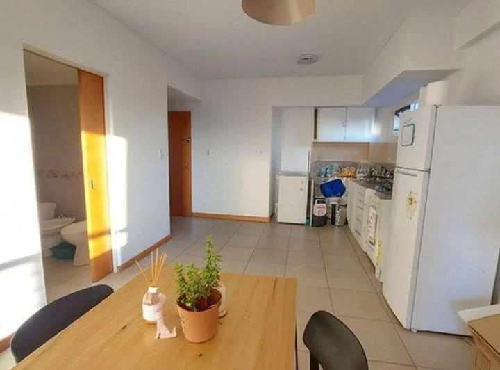 DEPARTAMENTO 1 AMBIENTE ALQUILER VILLA PUEYRREDON 3