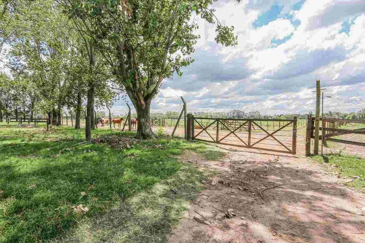 Lote en venta La Colina Golf & Polo vista c/ polo 4