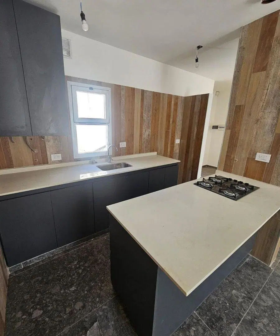 Venta Ph 2 Ambientes Parque Chacabuco Refaccionado 3