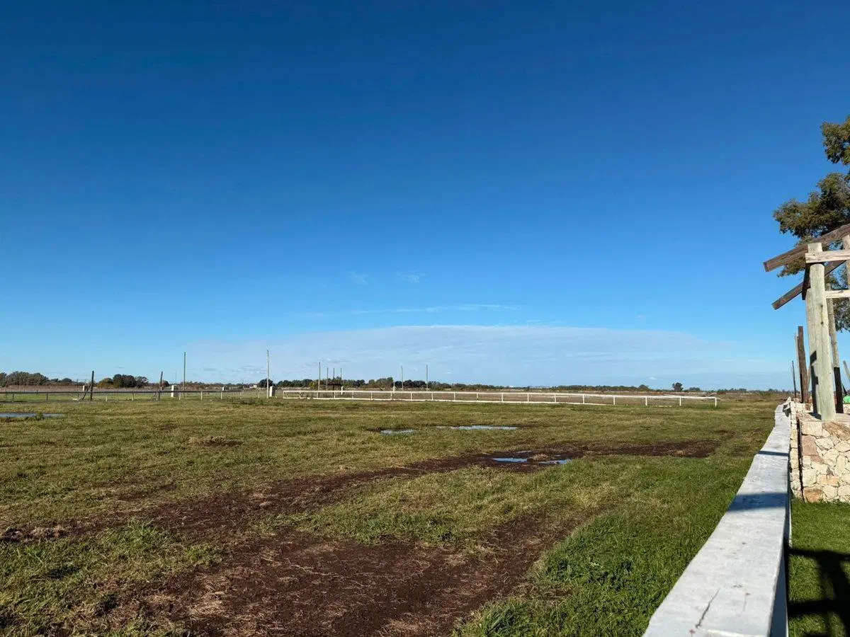 VENTA LOTE GENERAL RODRIGUEZ 3