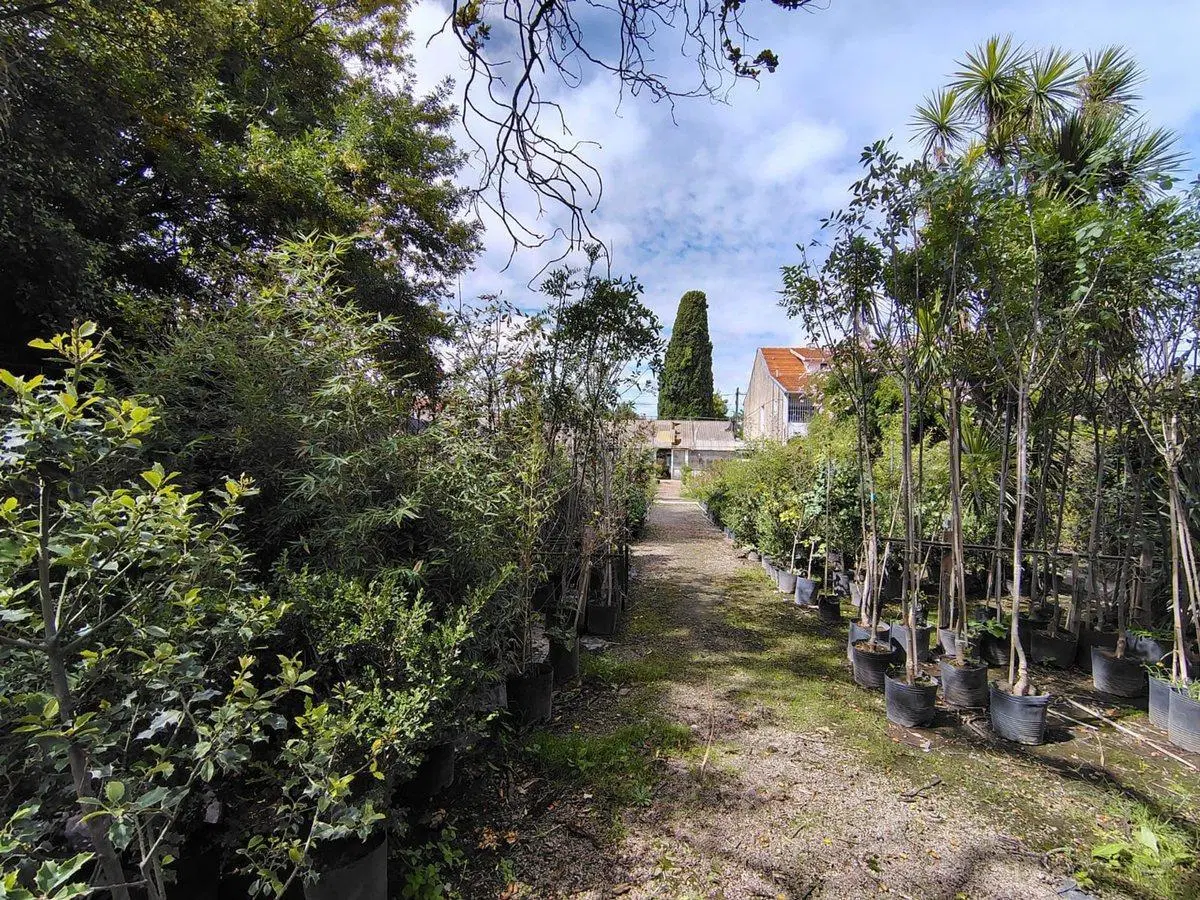 VENTA  lote 2400M2 MARTINEZ 4