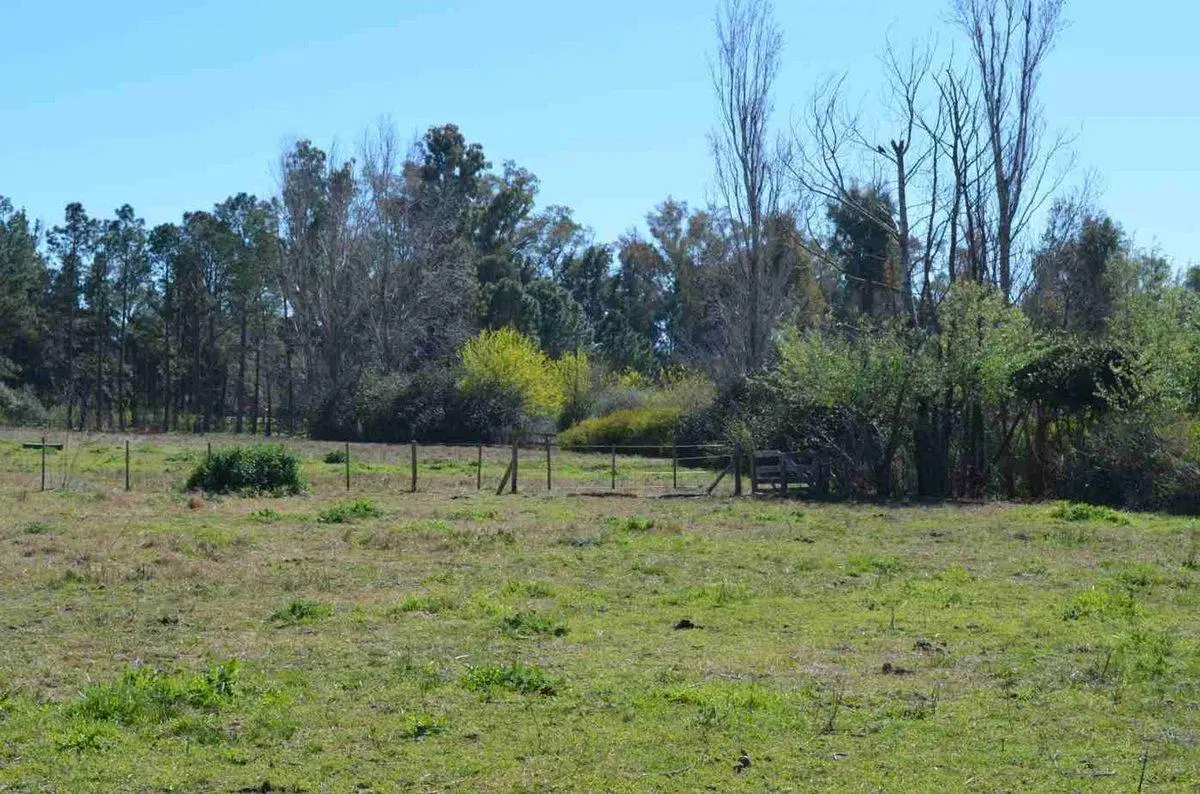 Chacra Venta Haras El Argentino Farm Club, Lujan 5