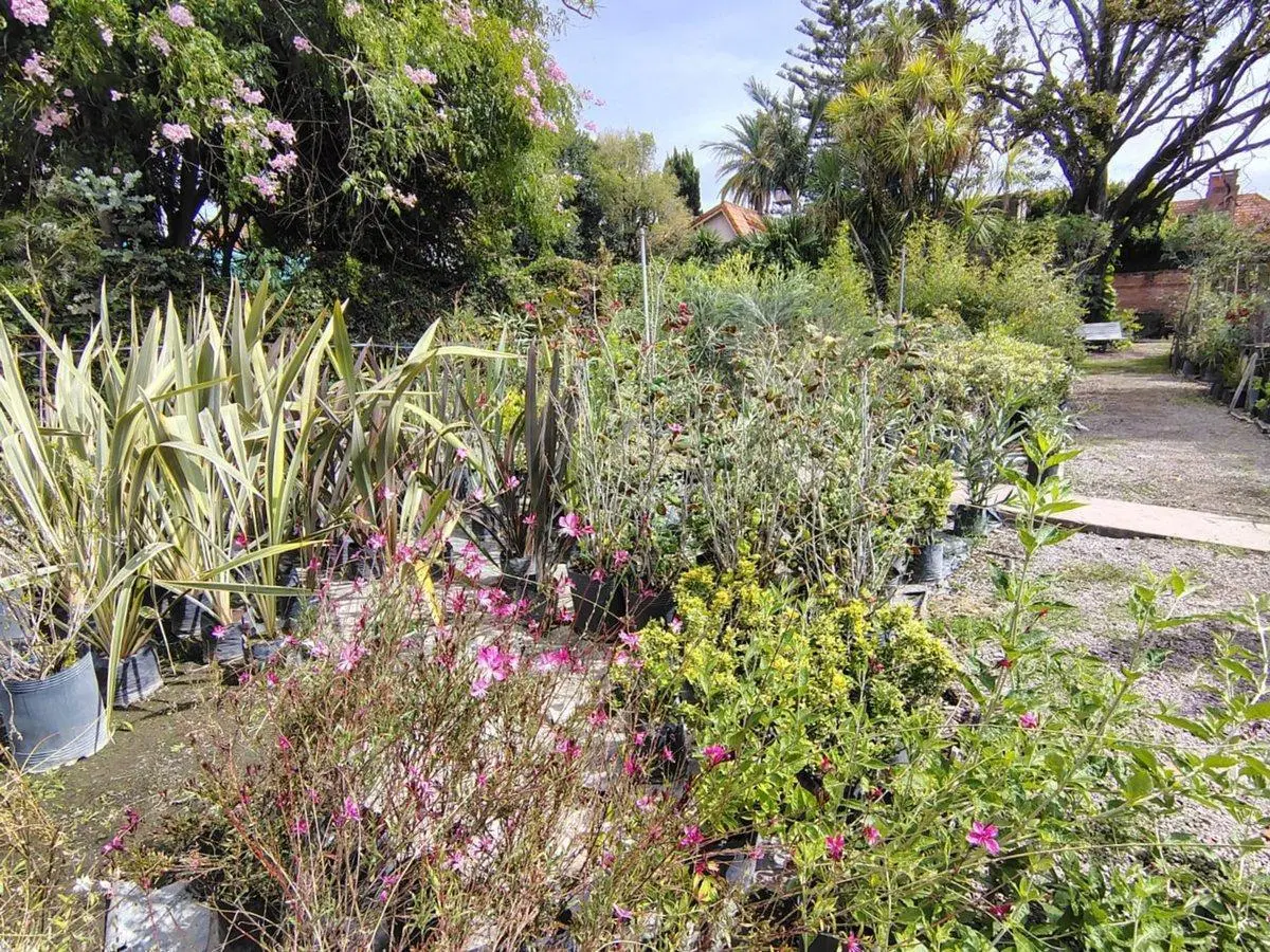 VENTA  lote 2400M2 MARTINEZ 3