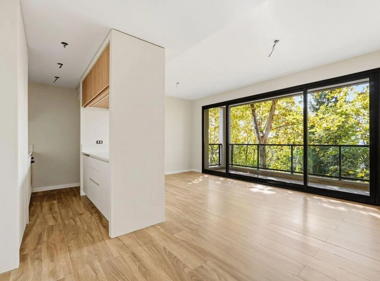 Departamento 2 Ambientes VENTA Belgrano Balcon 2