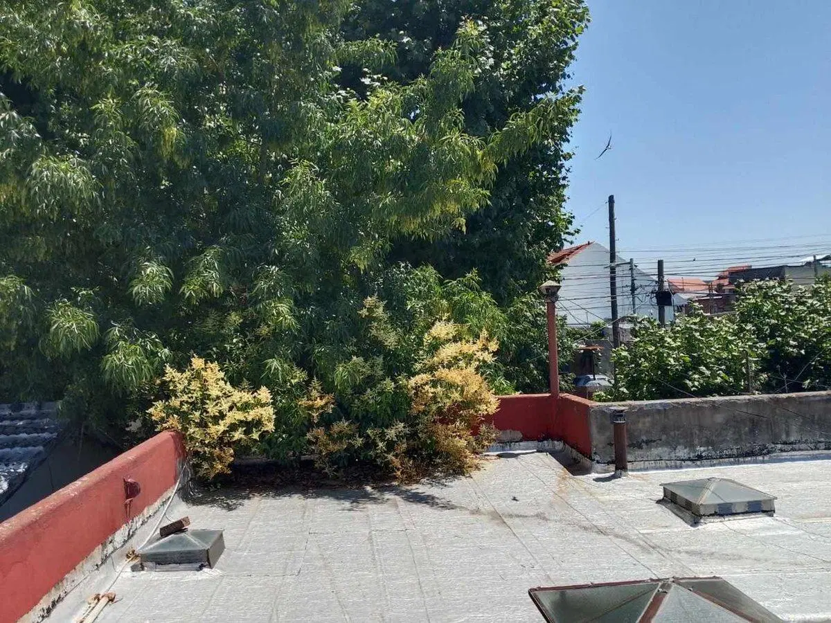 VENTA LOTE CON 3 VIVIENDAS SARANDÍ. TERRAZA JARDIN 5