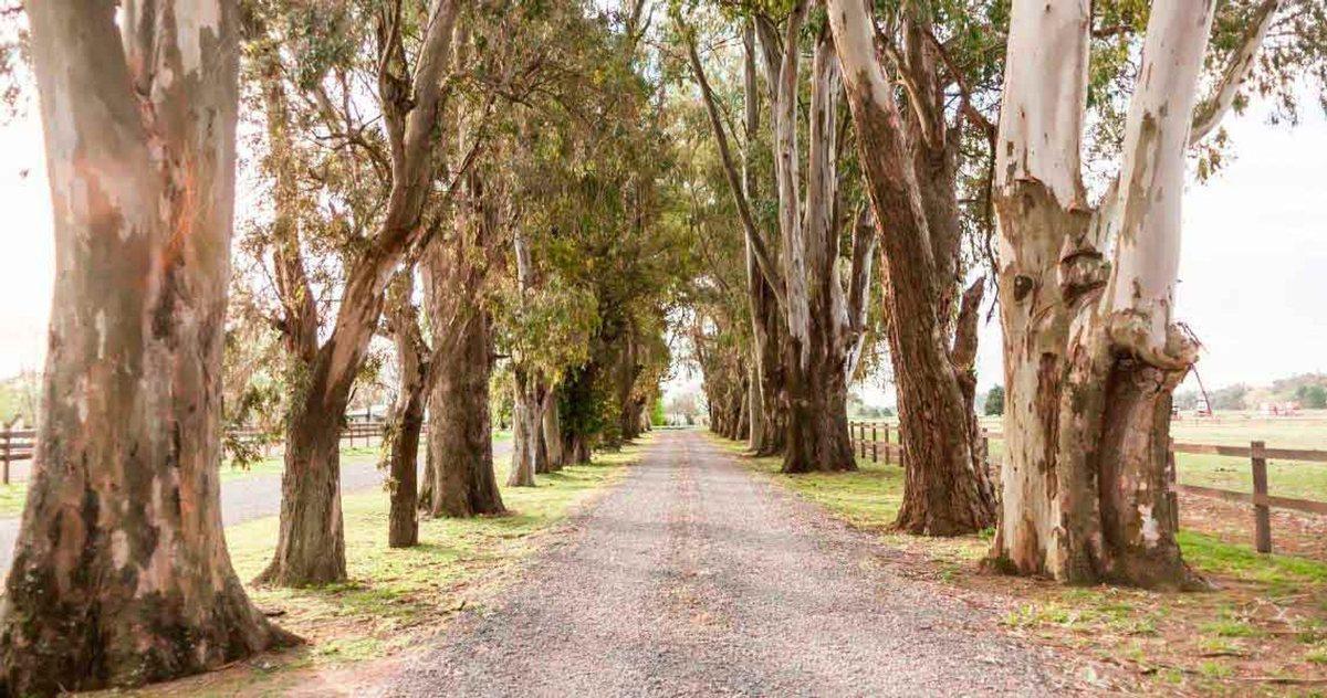 Foto de VENTA LOTE EL CAMPO FINCAS EXCLUSIVAS CARDALES, imagen 4
