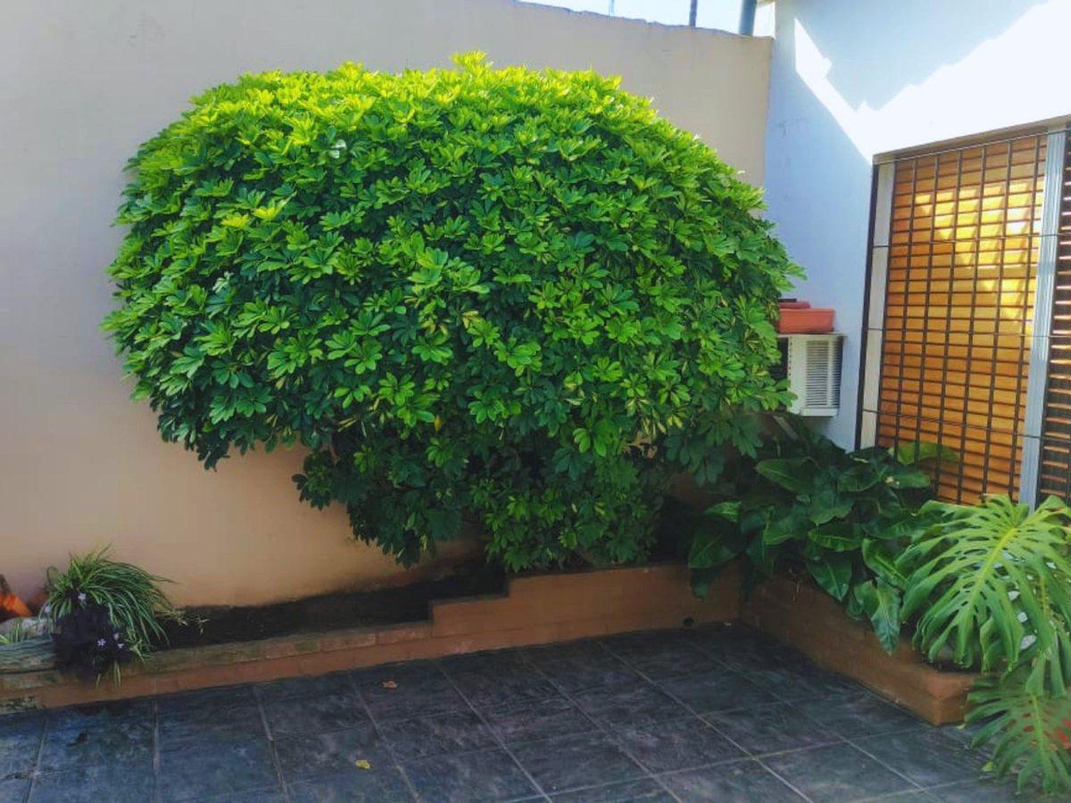 Foto de VENTA CASA 4 AMBIENTES VILLA DOMINICO, imagen 4
