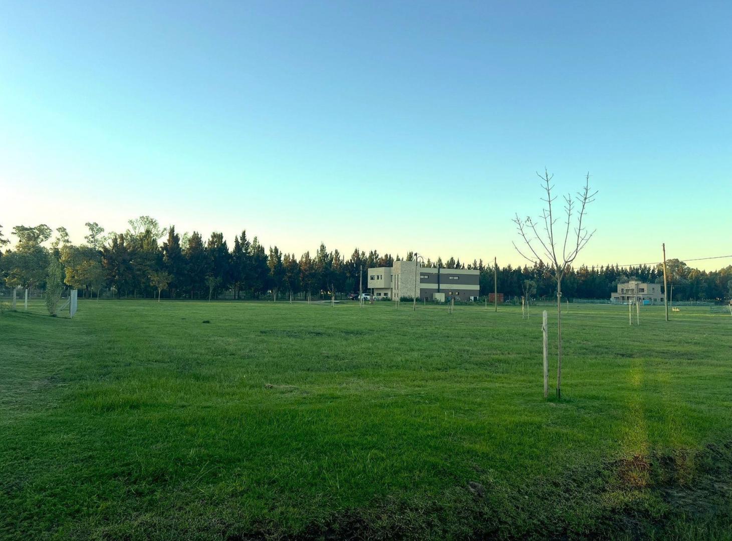 Foto de VENTA LOTE FINCAS SPORTING SAN VICENTE 1345 METROS, imagen 3