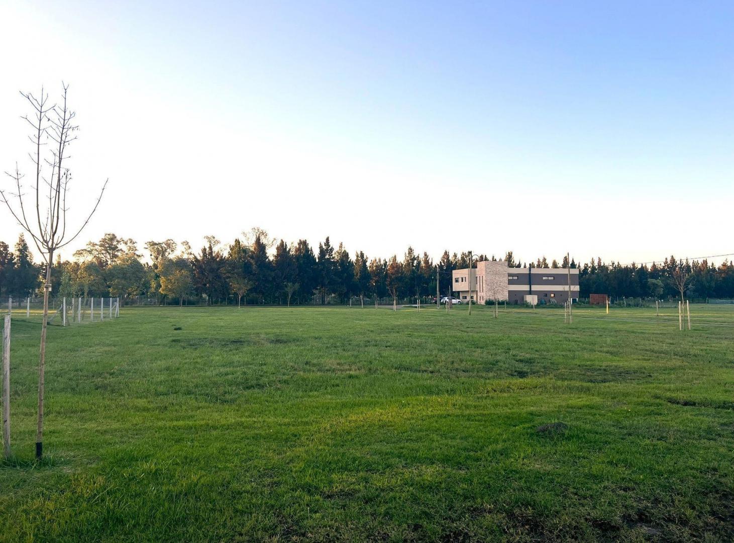 Foto de VENTA LOTE FINCAS SPORTING SAN VICENTE 1345 METROS, imagen 2