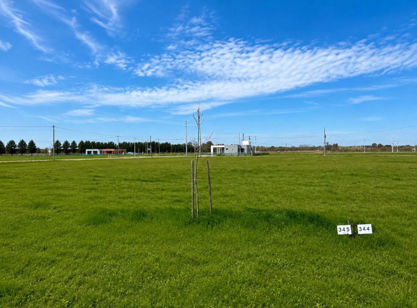 Foto de VENTA LOTE FINCAS JOVEN SAN VICENTE 707 METROS, imagen 5