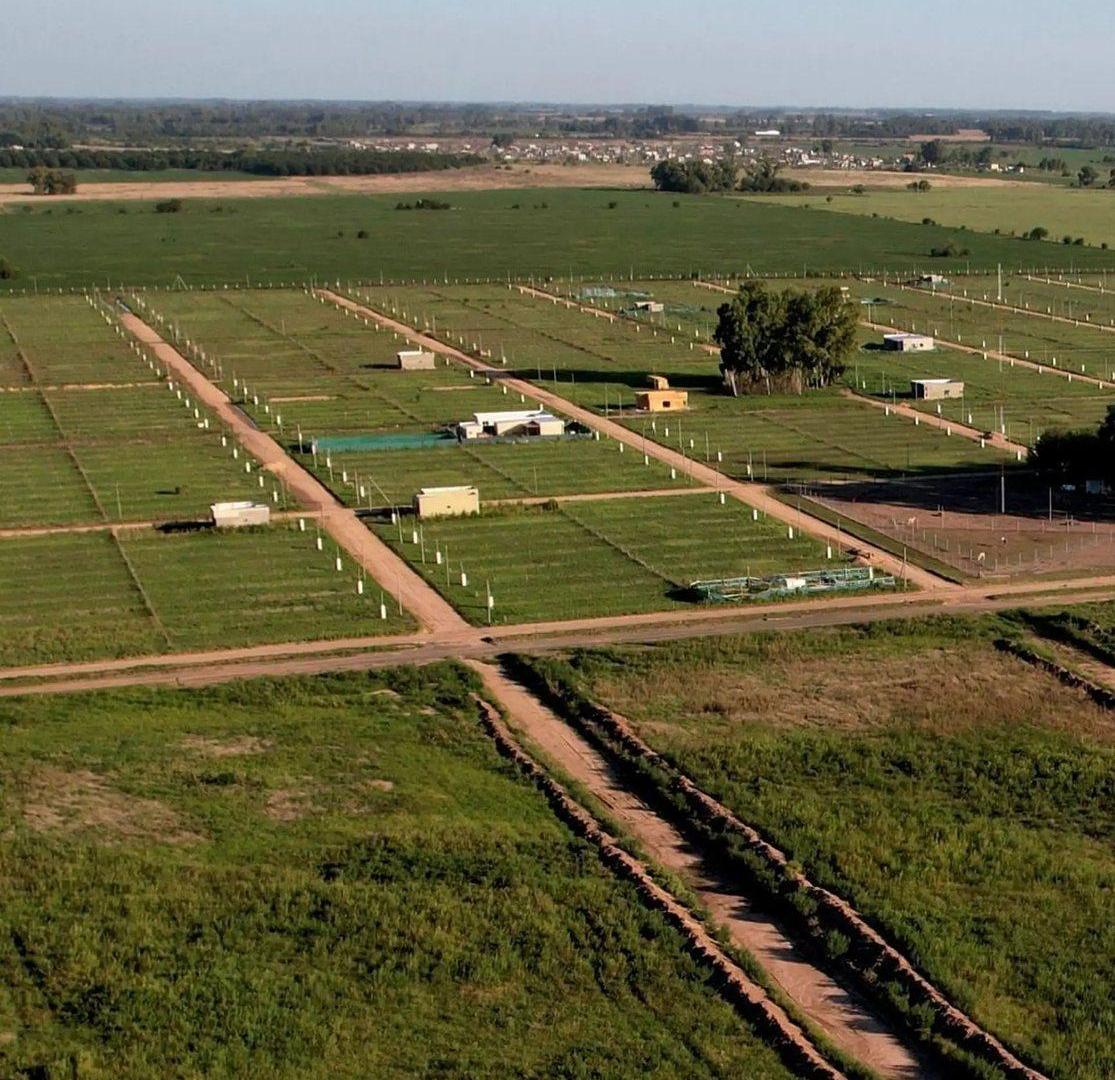 Foto de OPORTUNIDAD VENTA LOTES 600m2 GENERAL RODRIGUEZ, imagen 3