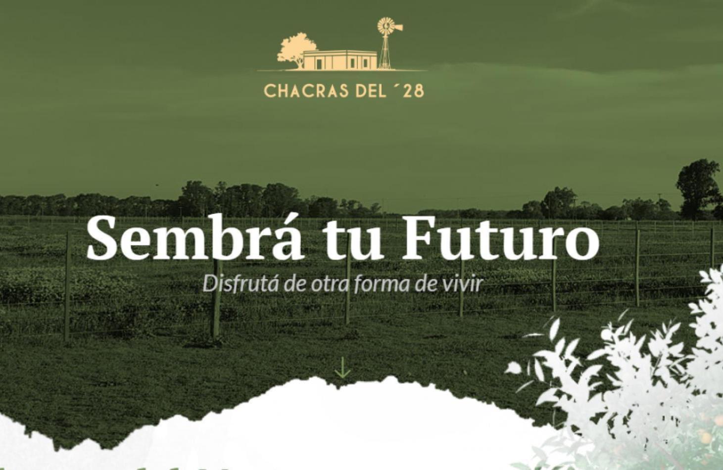 Foto de Chacras del 28 - Alsina - Baradero., imagen 2