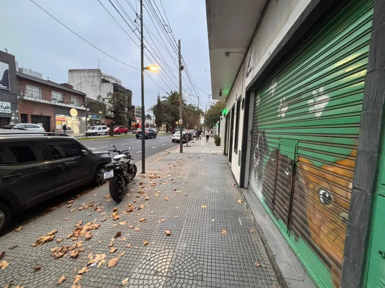 Local Comercial San Martin 4