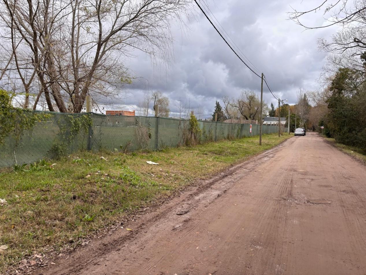 Foto de Lotes en Dique Lujan - Tigre, imagen 3