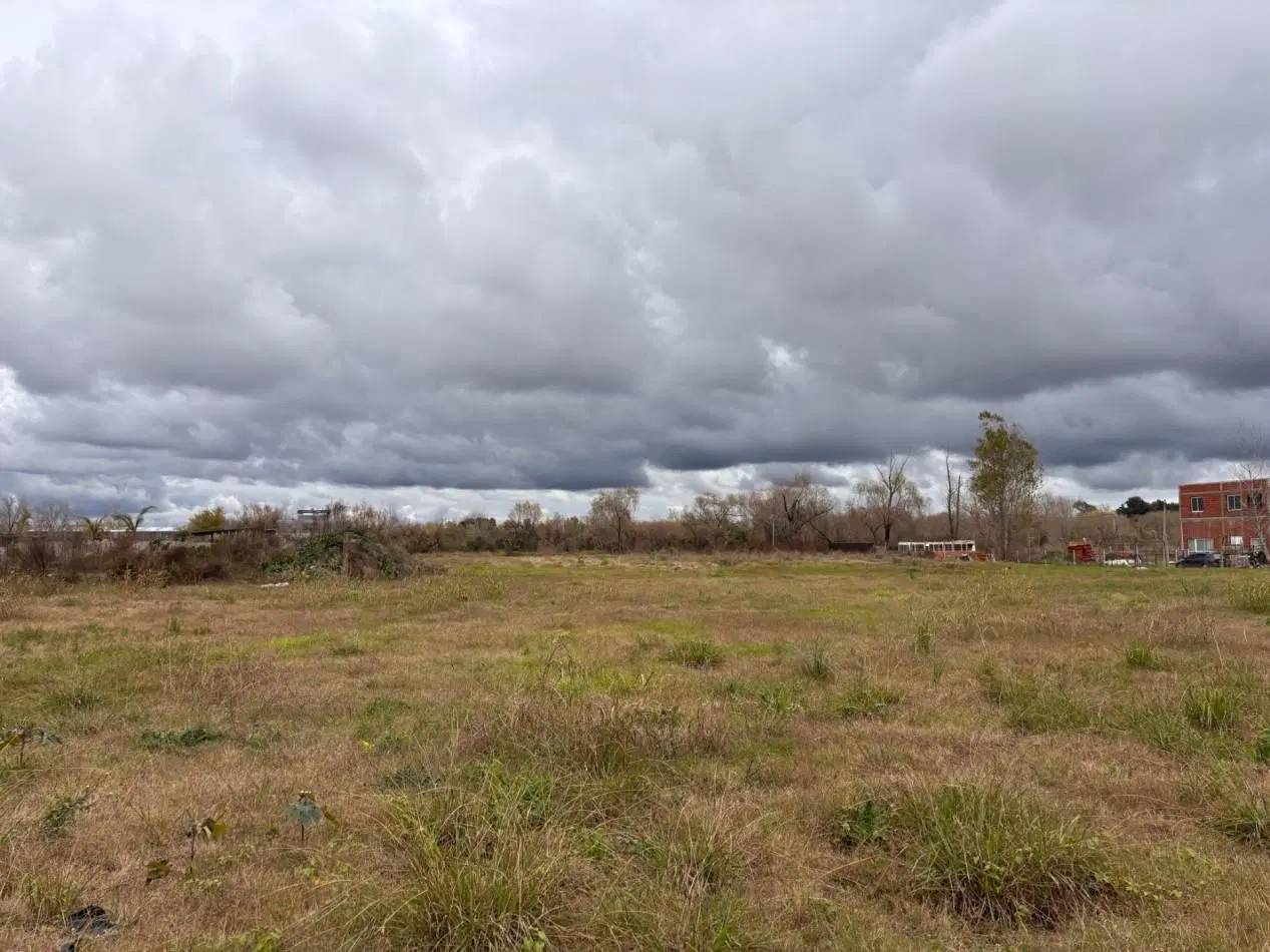 Lotes en Dique Lujan - Tigre 5