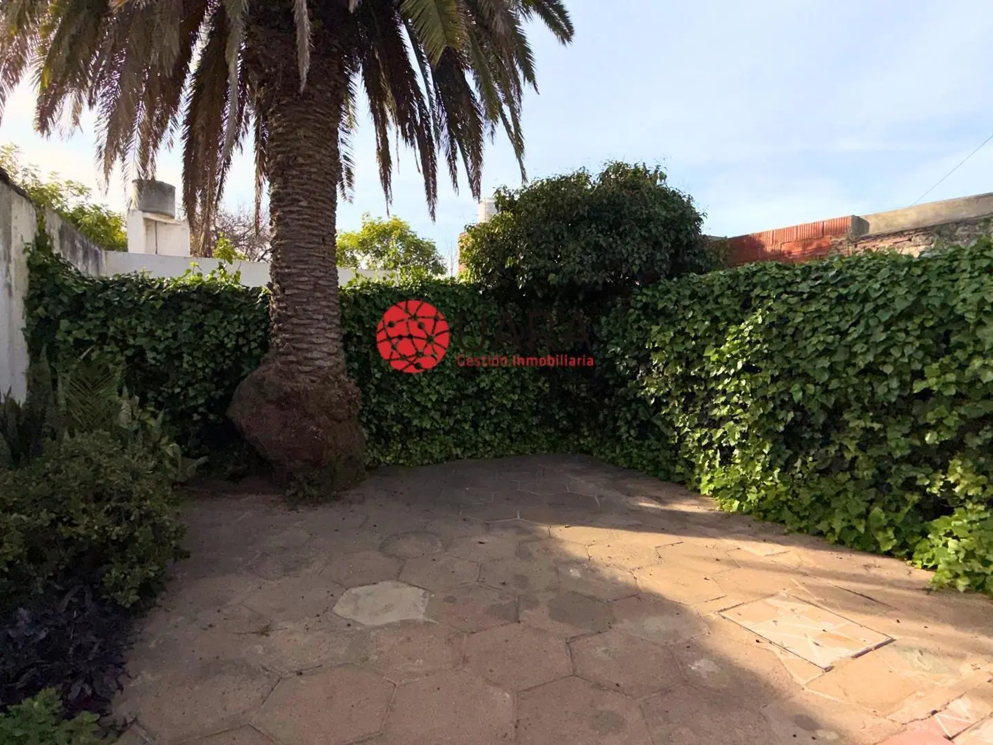 OPORTUNIDAD DE INVERSION CASA Y DEPARTAMENTO 8