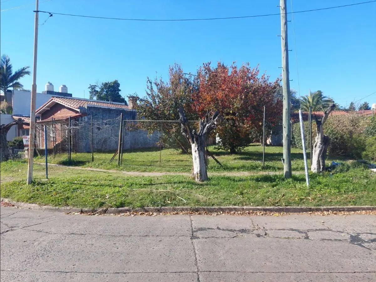 Lote Irregular De 377 M2 5