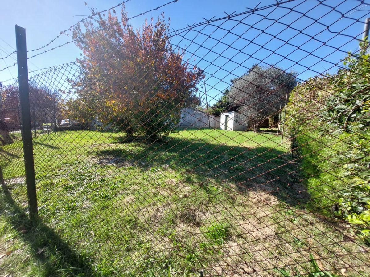Lote Irregular De 377 M2
