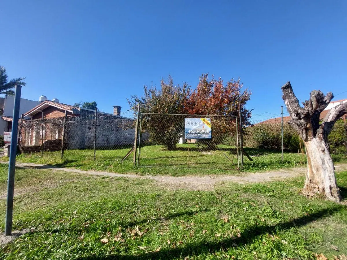 Lote Irregular De 377 M2 3
