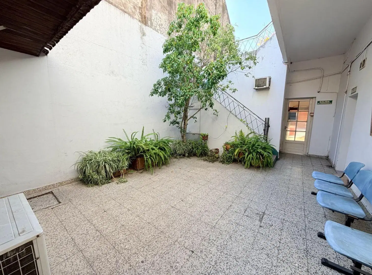 Casa 4 ambientes a refaccionar sobre lote 8,66 x 17 en Versalles | Patio y terraza 8