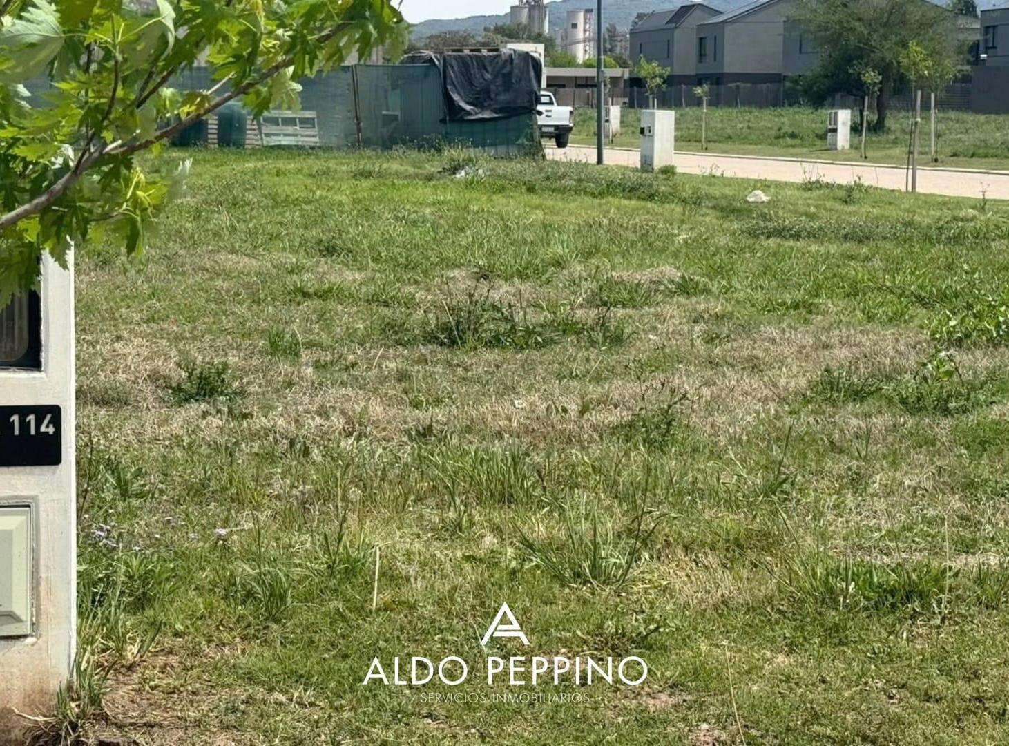 Foto de LOTE IMPERDIBLE - NUEVO MALAGUEÑO, imagen 3