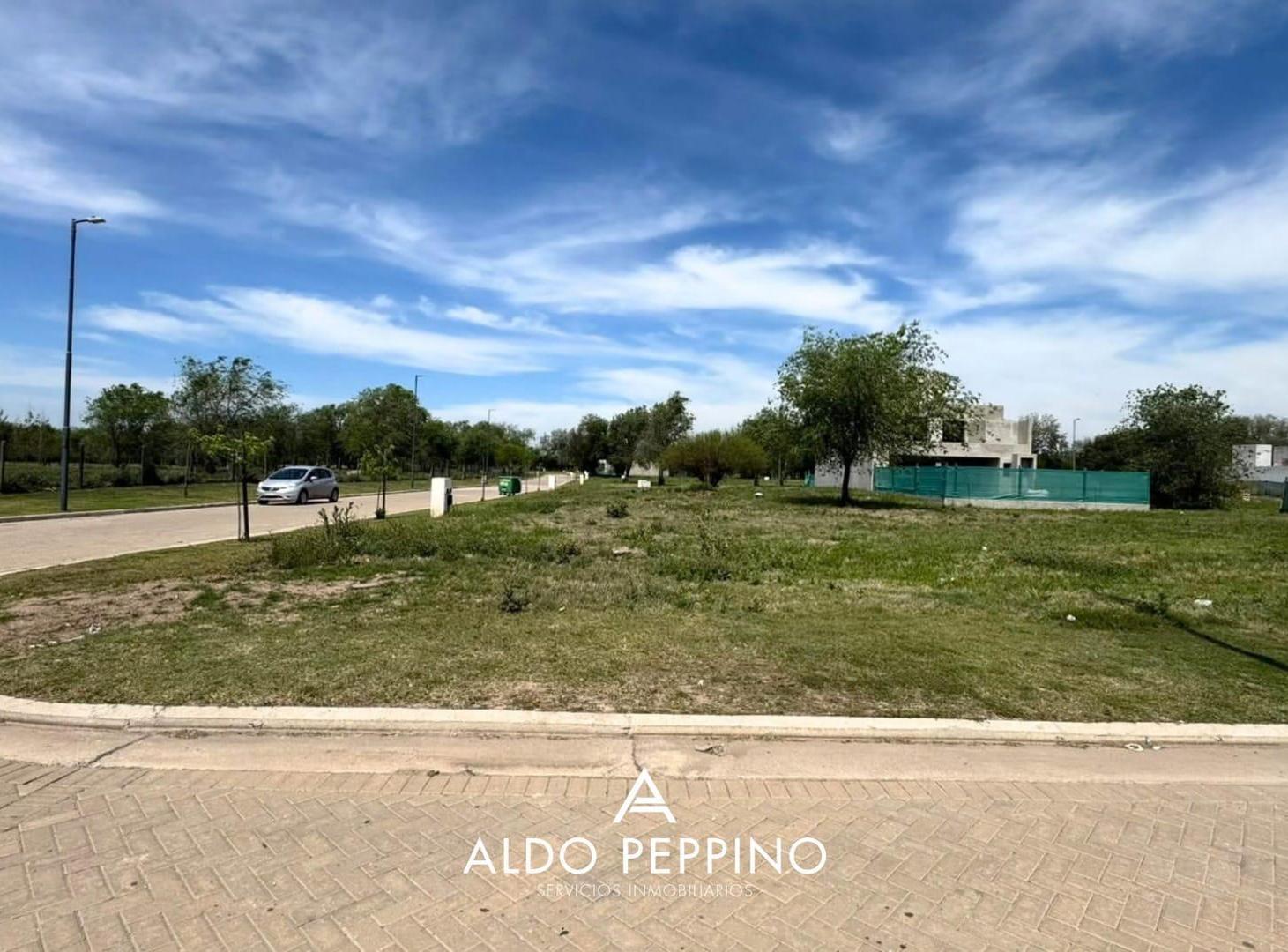 Foto de LOTE IMPERDIBLE - NUEVO MALAGUEÑO, imagen 2
