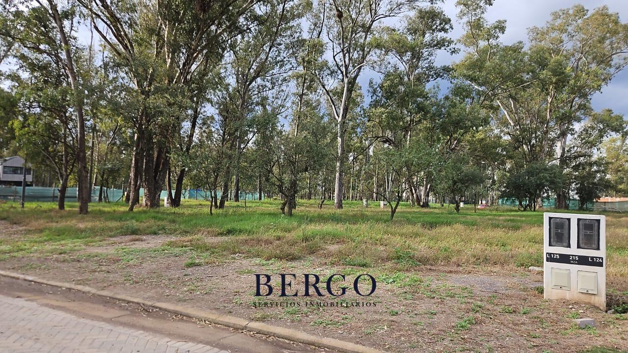 Foto de IMPORTANTE LOTE RESIDENDIAL 400 M2 A LA VENTA - NUEVO MALAGUEÑO, imagen 1
